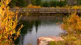 Autumn Bridge