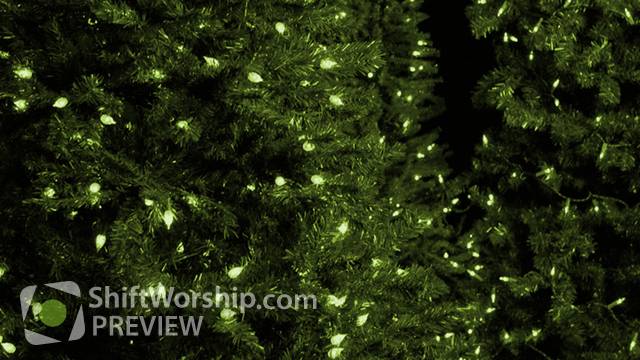 Preview of Christmas Trees